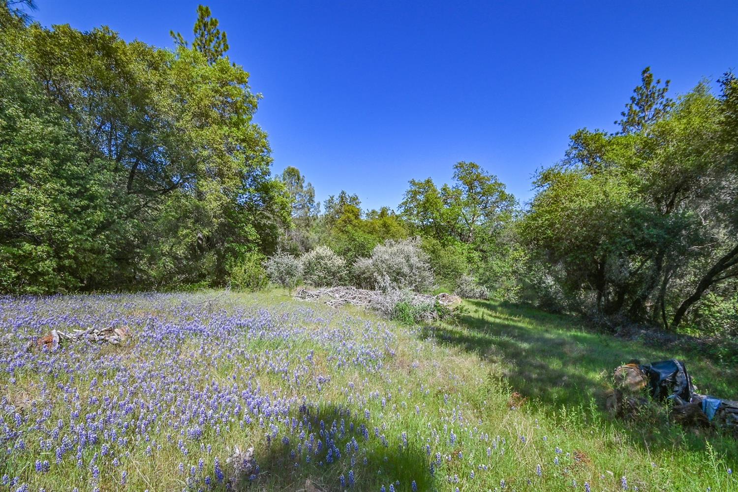 6412 Mt Aukum Road Somerset, CA 95684 - Photo 4 of 65