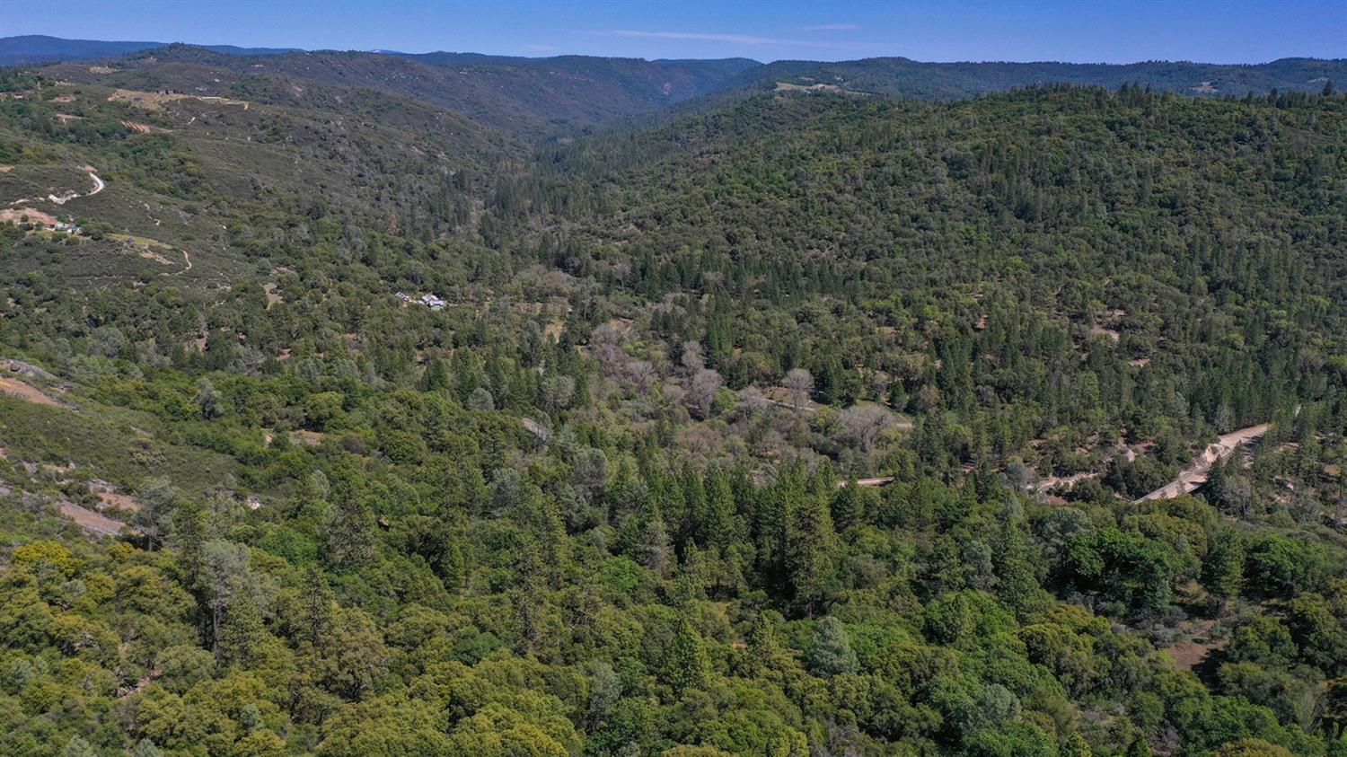 6412 Mt Aukum Road Somerset, CA 95684 - Photo 41 of 65 a view of a lush green forest with lush green forest