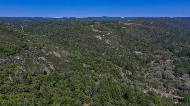 a view of a city with lush green forest