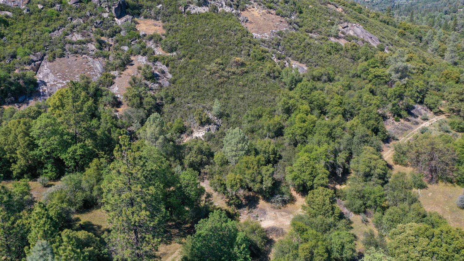6412 Mt Aukum Road Somerset, CA 95684 - Photo 45 of 65 an aerial view of residential house with outdoor space and trees all around