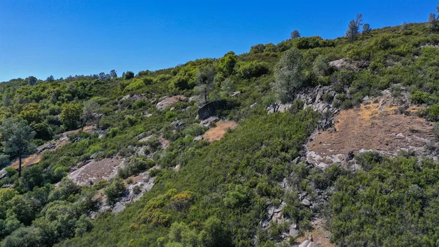 a view of a house with a lush green forest