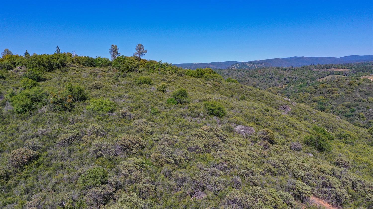 6412 Mt Aukum Road Somerset, CA 95684 - Photo 48 of 65 a view of a city with lush green forest