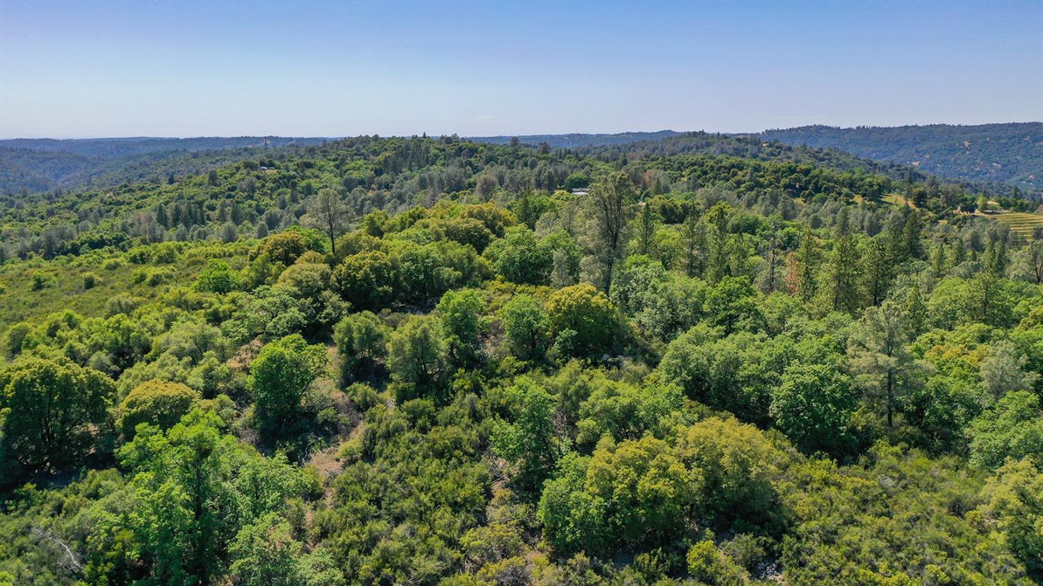 6412 Mt Aukum Road Somerset, CA 95684 - Photo 50 of 65 a view of a green field with lots of bushes