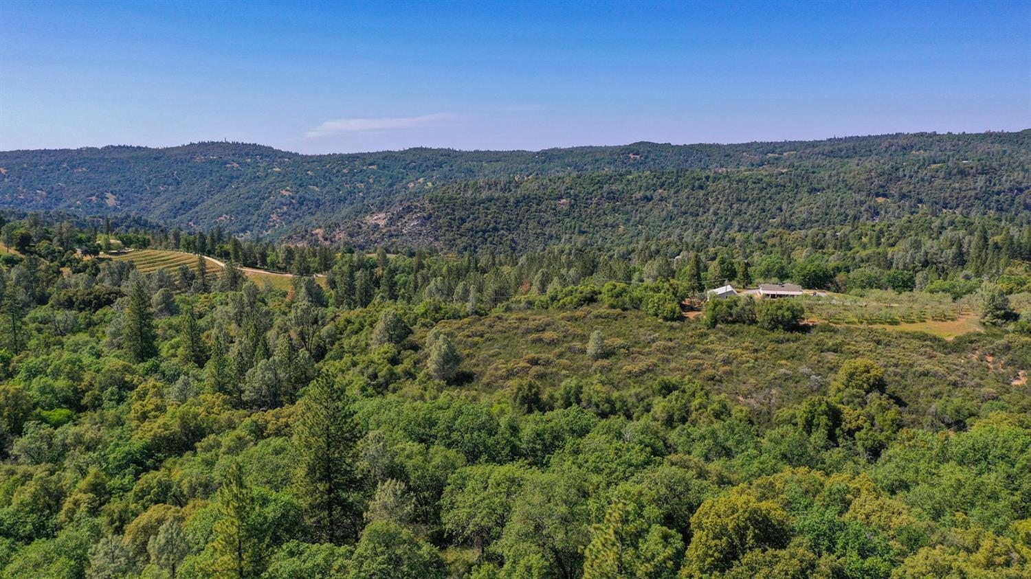 6412 Mt Aukum Road Somerset, CA 95684 - Photo 52 of 65 a view of a lush green hillside and a building