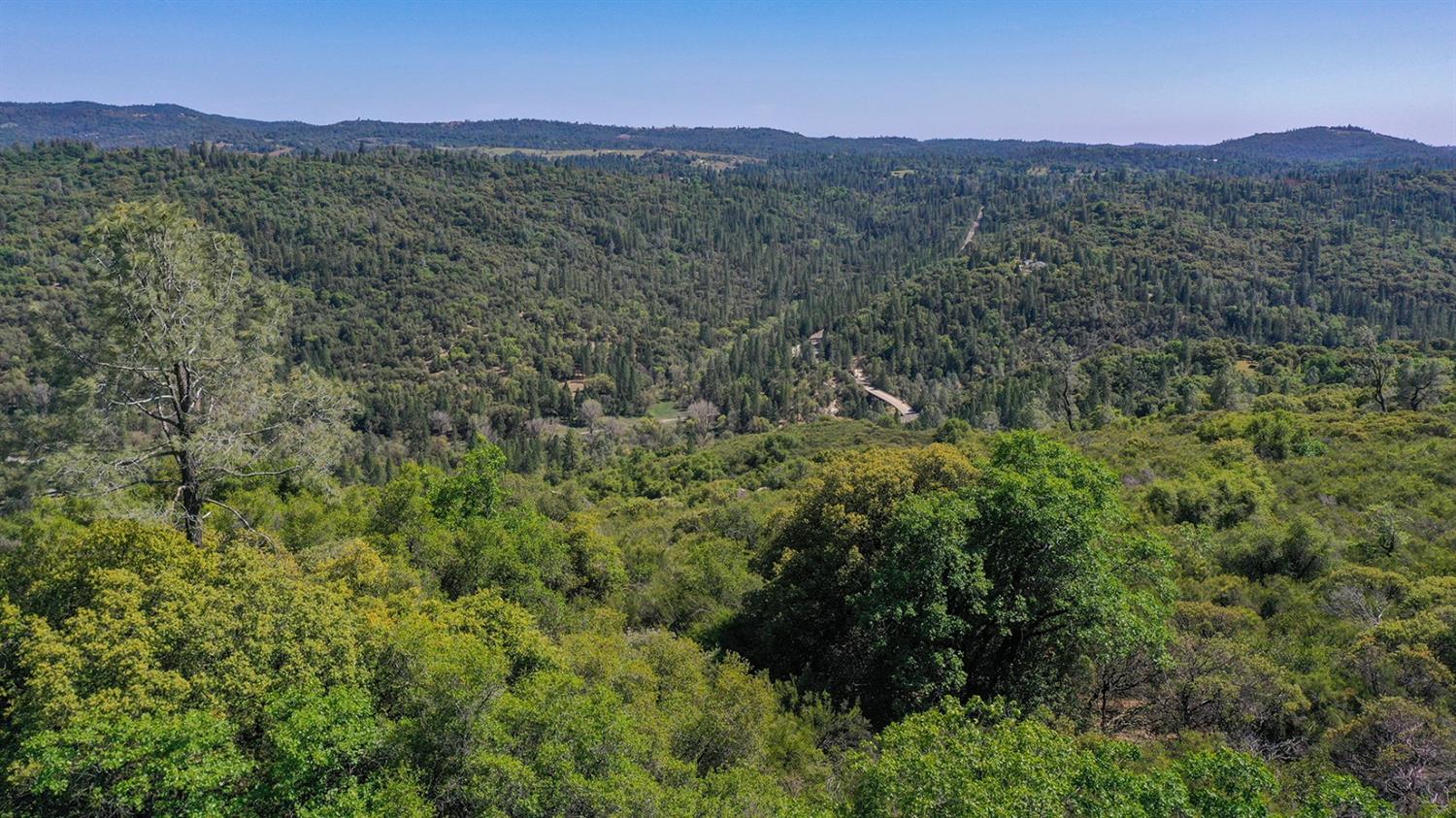 6412 Mt Aukum Road Somerset, CA 95684 - Photo 54 of 65 a view of a lush green hillside and a mountain