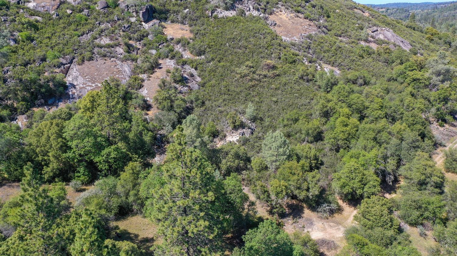 6412 Mt Aukum Road Somerset, CA 95684 - Photo 60 of 65 an aerial view of residential house with outdoor space and trees all around