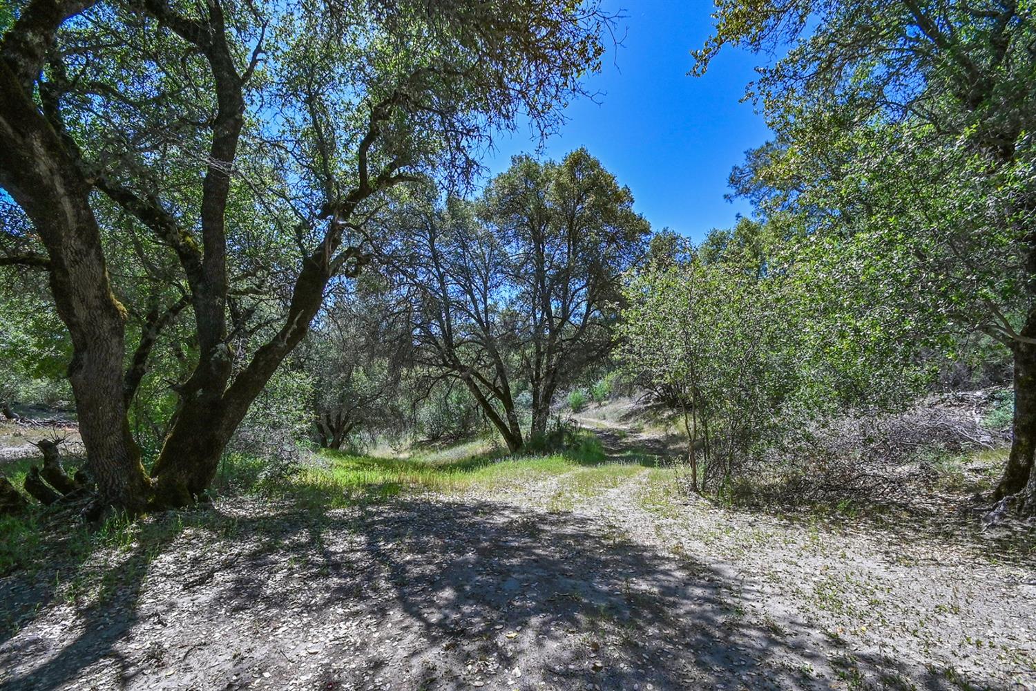 6412 Mt Aukum Road Somerset, CA 95684 - Photo 7 of 65