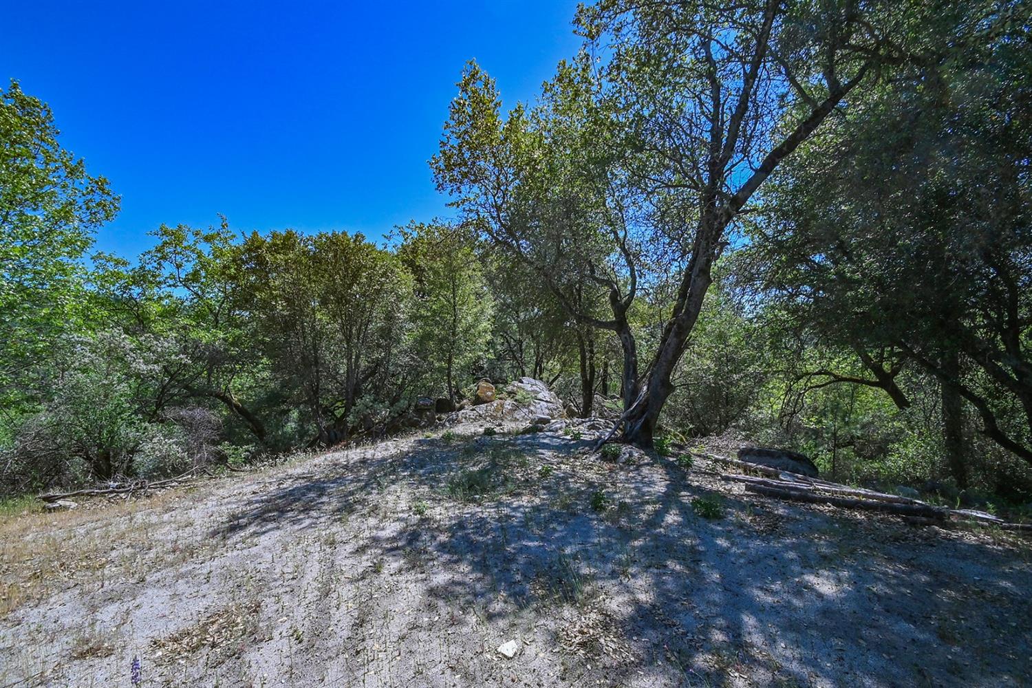 6412 Mt Aukum Road Somerset, CA 95684 - Photo 8 of 65 a big yard with lots of green space