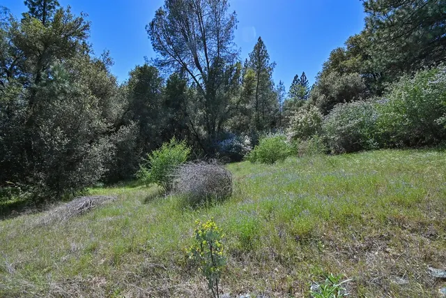 a view of backyard with green space