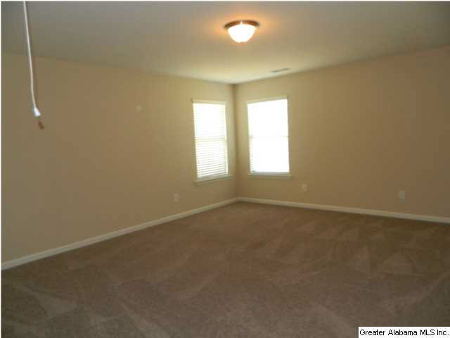 45 Blueberry Cove Springville, AL 35146 - Photo 13 of 19