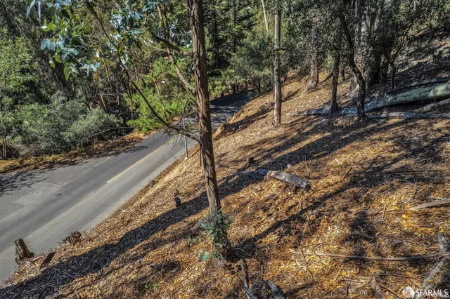 a view of a yard with a tree