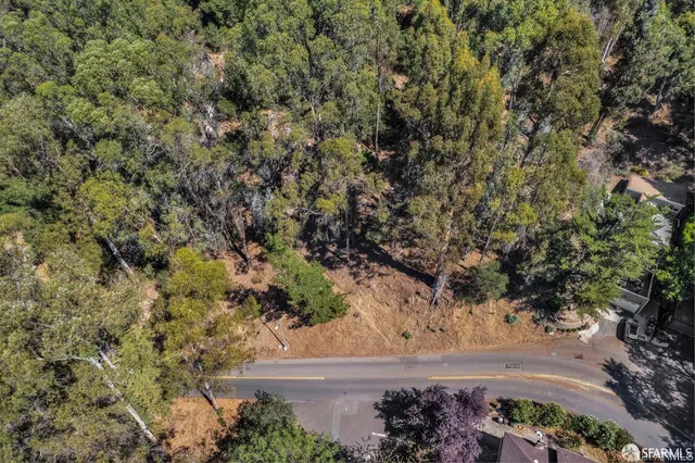a view of a yard with plants and tree