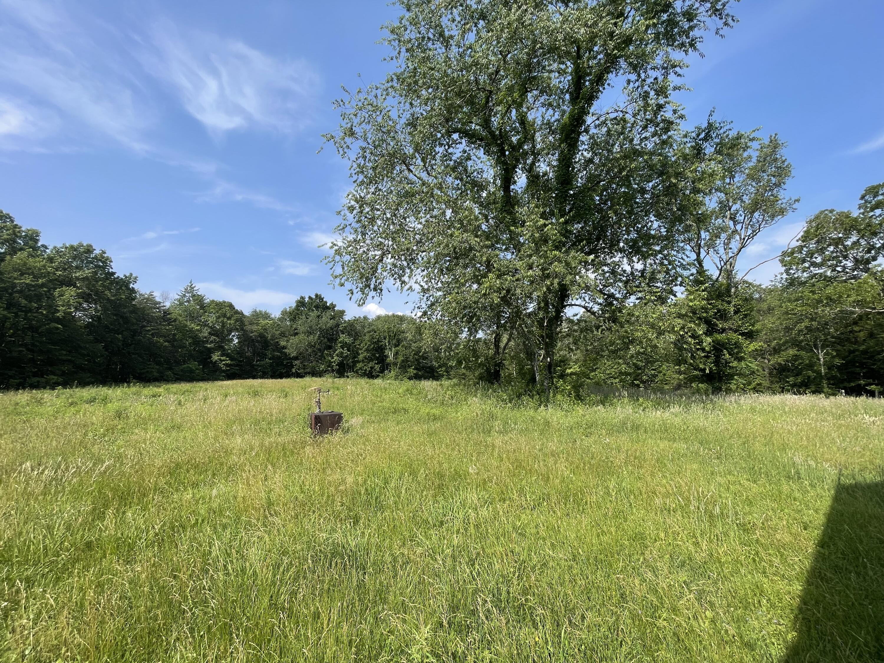 4750 Thomas And Smith Road Pikeville, TN 37367 - Photo 11 of 19 IMG_5760