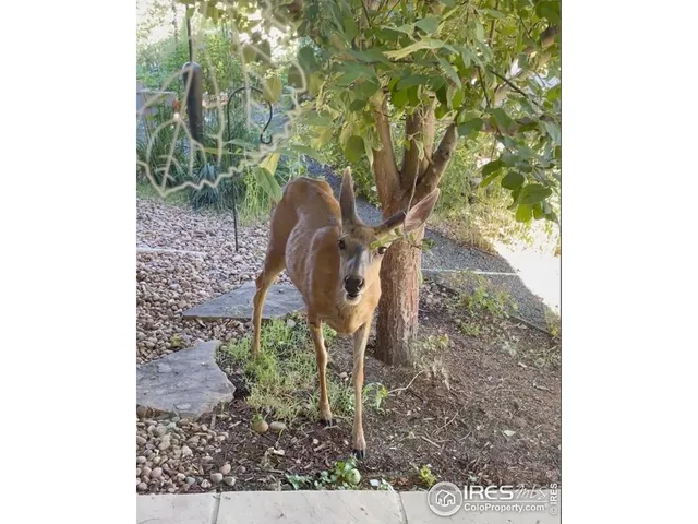 $819,000 | 270 Meadowsweet Circle, Loveland, CO 80537