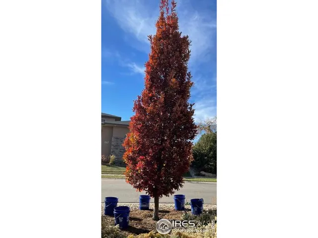 $819,000 | 270 Meadowsweet Circle, Loveland, CO 80537