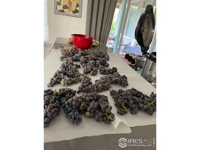 $819,000 | 270 Meadowsweet Circle, Loveland, CO 80537