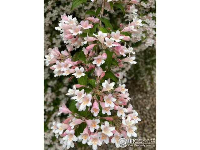 $819,000 | 270 Meadowsweet Circle, Loveland, CO 80537