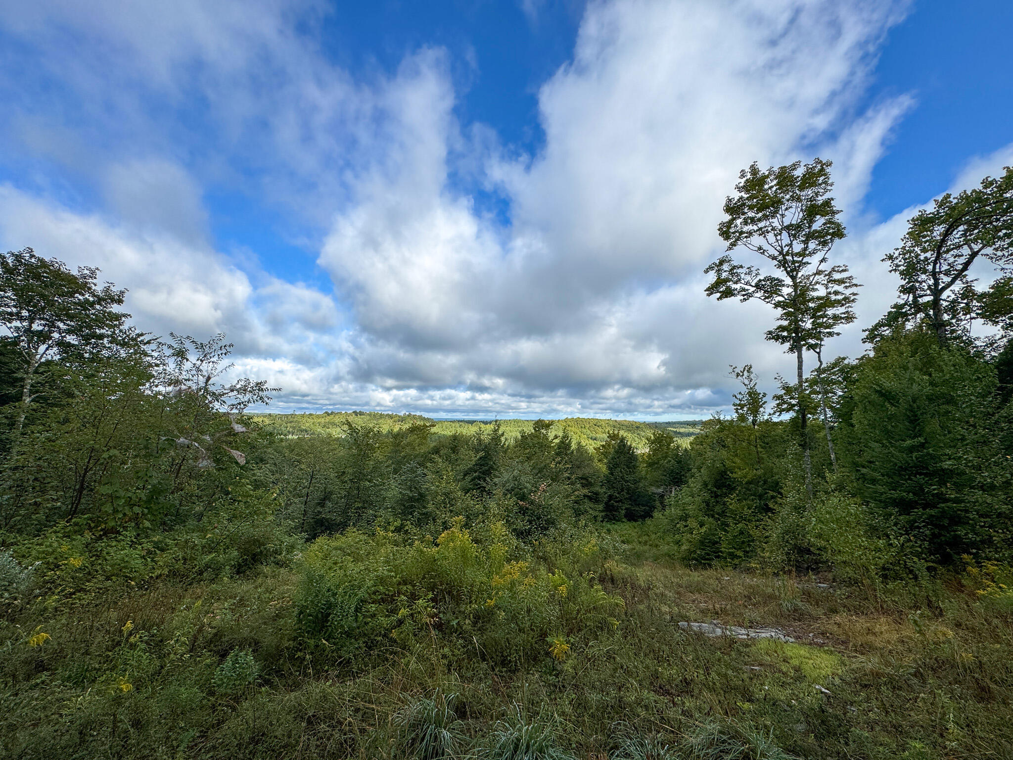 Lot 8-9 Moores Road Springfield, ME 04487 - Photo 21 of 22 21