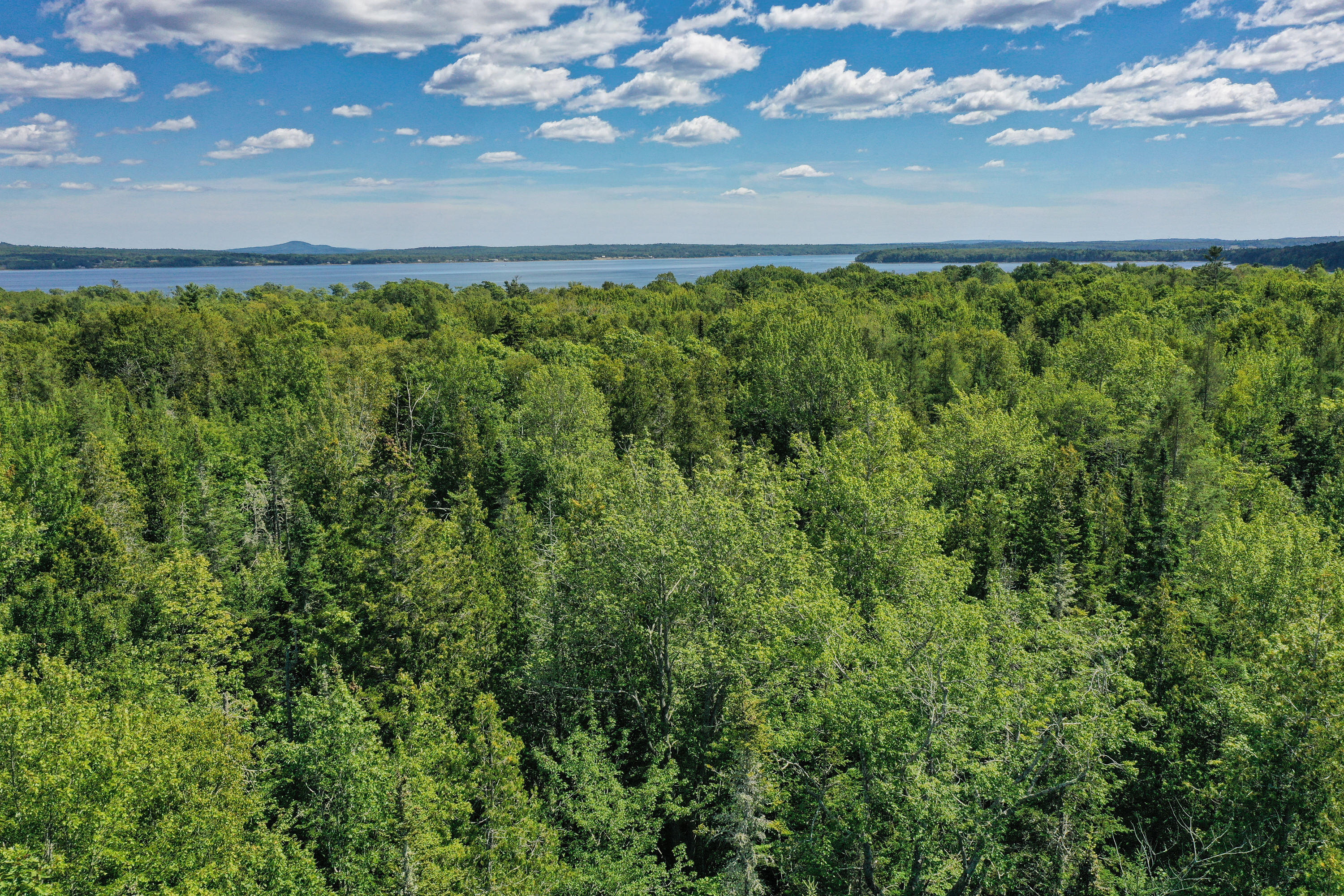 Lot 157 Denslow Road Stockton Springs, ME 04981 - Photo 11 of 22 8384