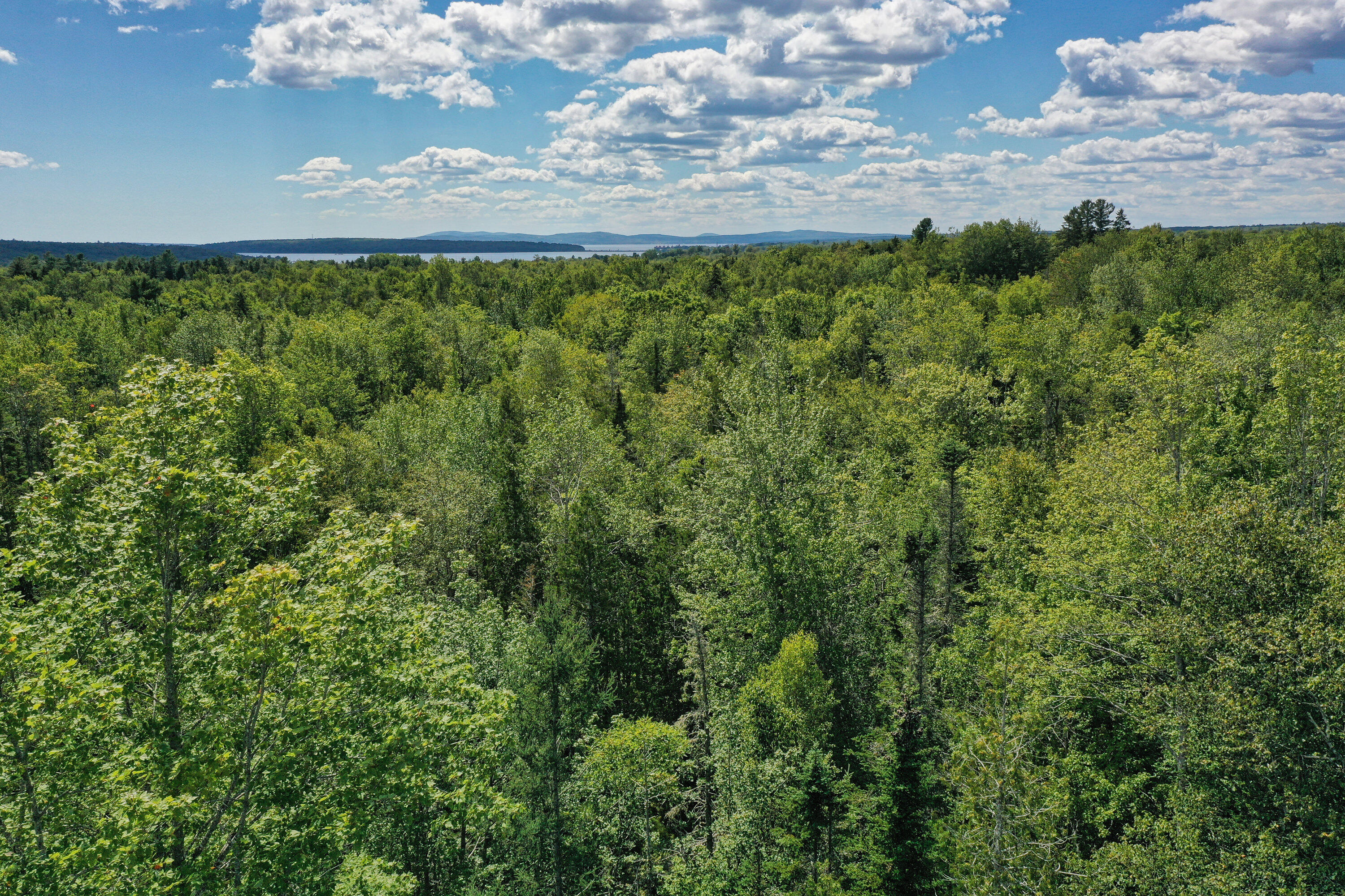 Lot 157 Denslow Road Stockton Springs, ME 04981 - Photo 12 of 22 8385