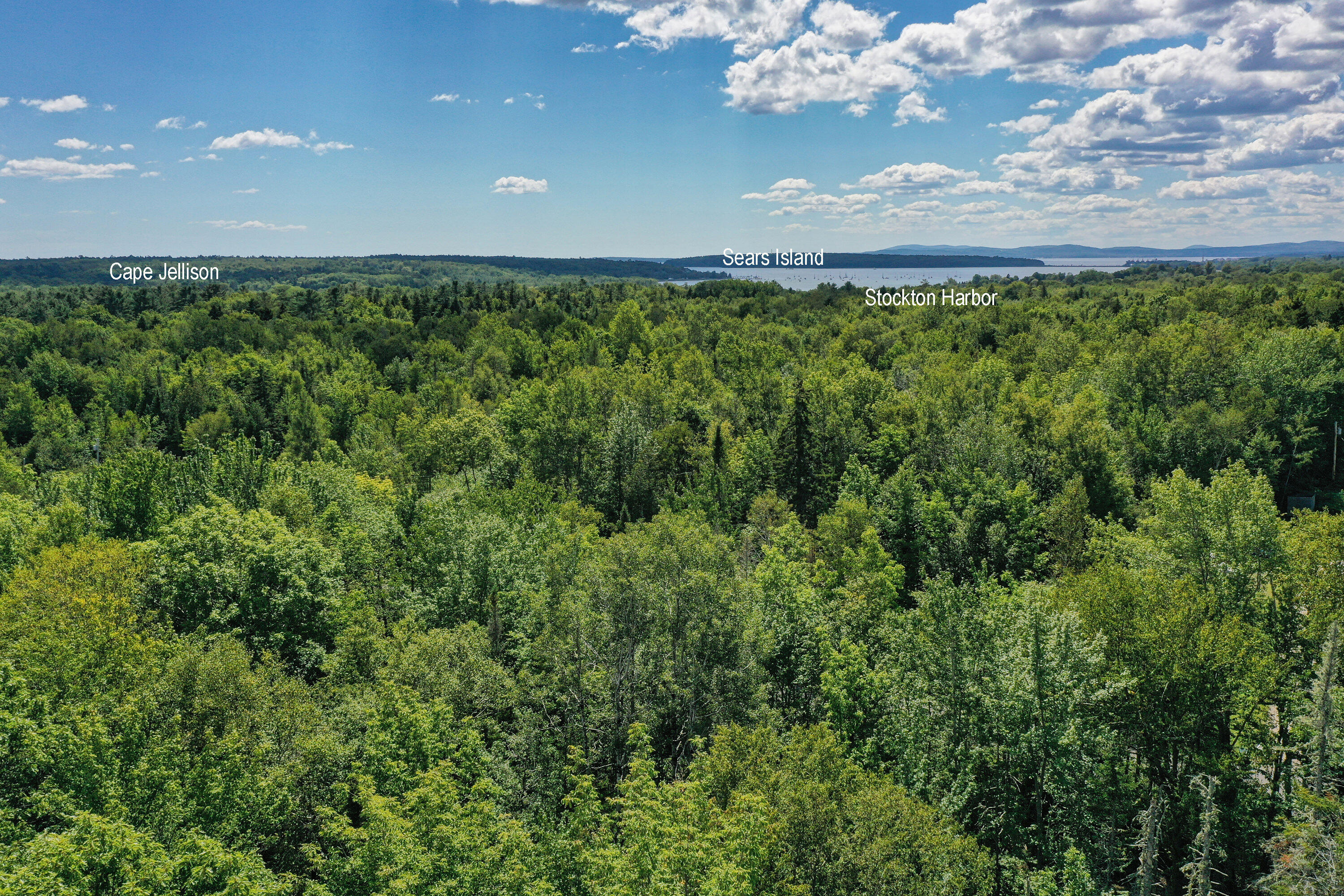Lot 157 Denslow Road Stockton Springs, ME 04981 - Photo 14 of 22 8388