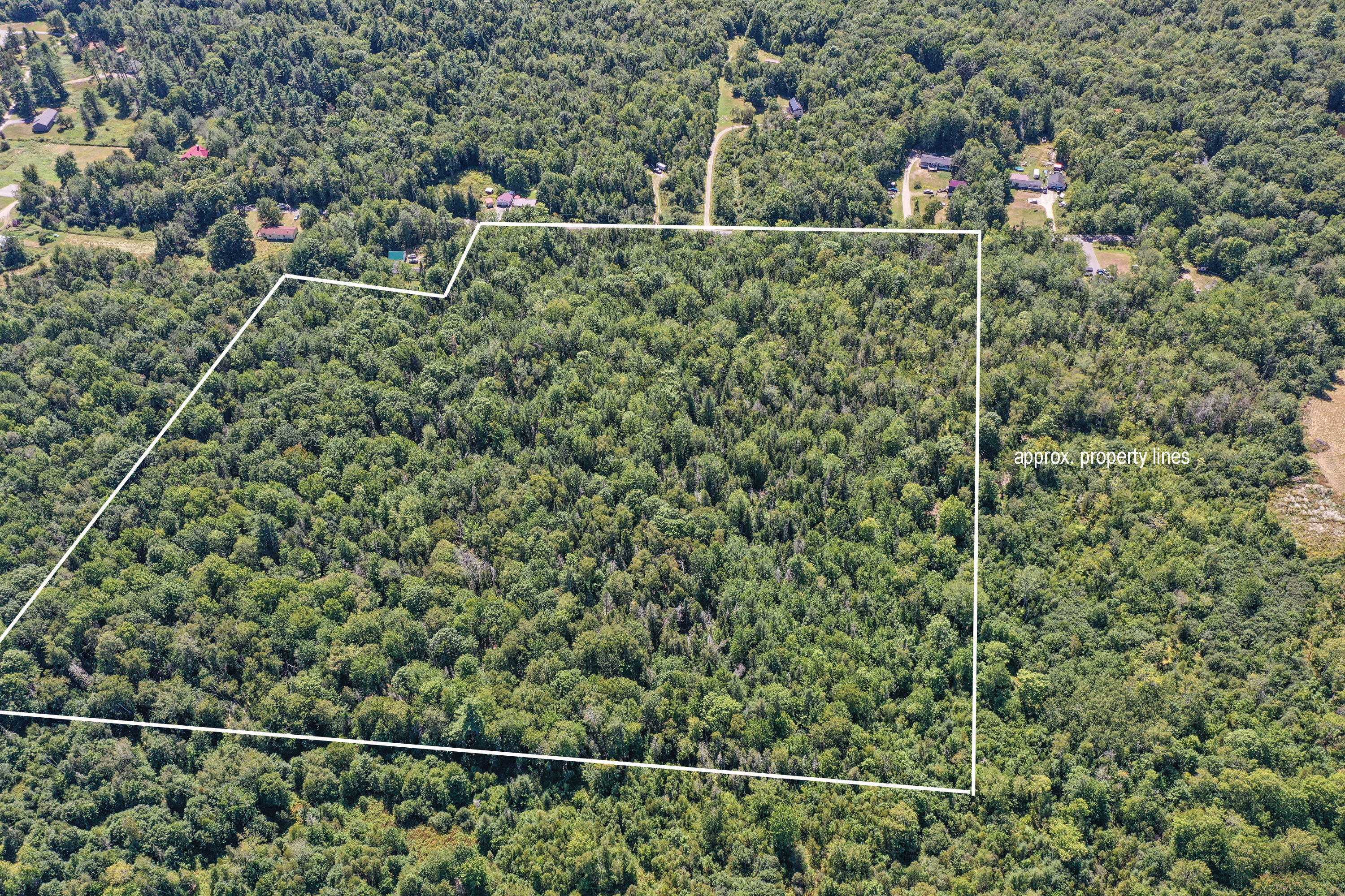 Lot 157 Denslow Road Stockton Springs, ME 04981 - Photo 20 of 22 8379