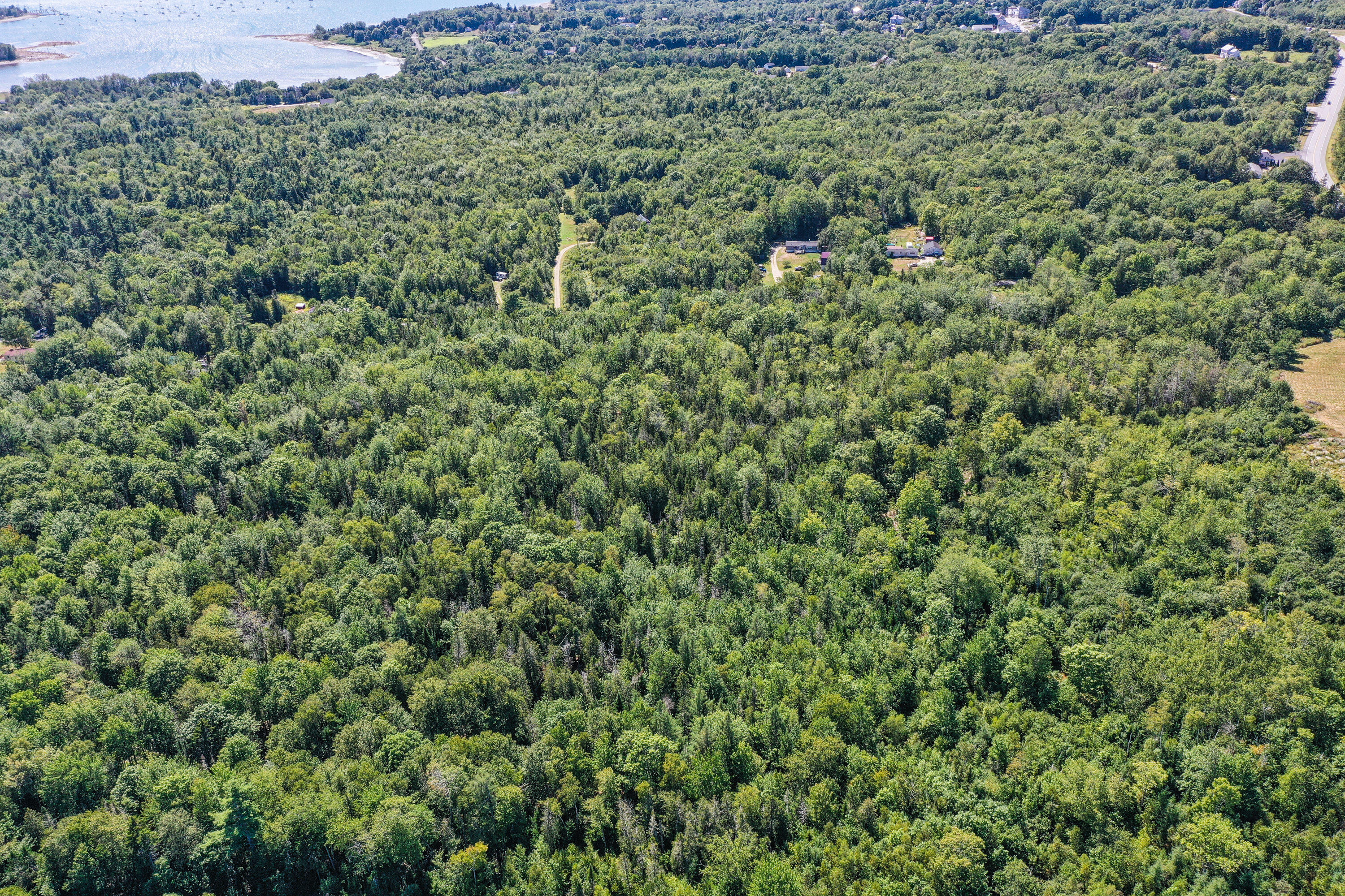 Lot 157 Denslow Road Stockton Springs, ME 04981 - Photo 10 of 22 8375