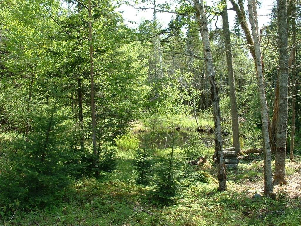 Lot 29 Yoho Head Road Machiasport, ME 04655 - Photo 1 of 14 Photo