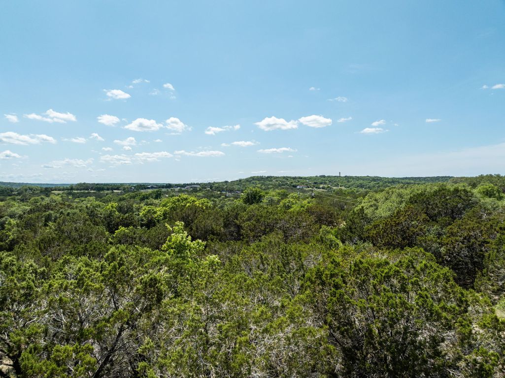24906 Fawn Drive Leander, TX 78641 - Photo 34 of 39 a view of a bunch of trees in a field