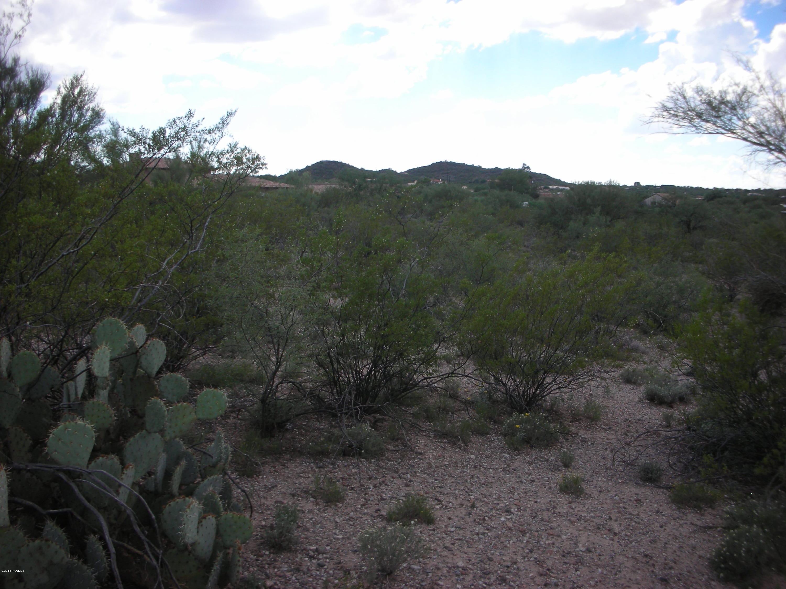 South Freeman Road Tucson, AZ 85748 - Photo 8 of 12