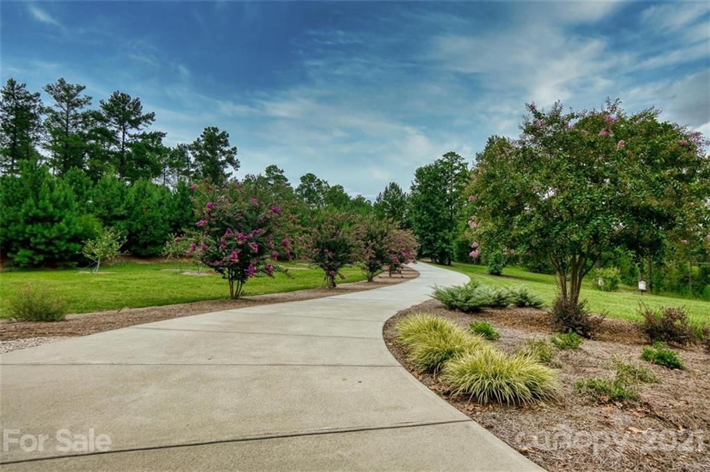 9658 Van Wyck Road Lancaster, SC 29720 - Photo 44 of 44 a view of a garden with a slide