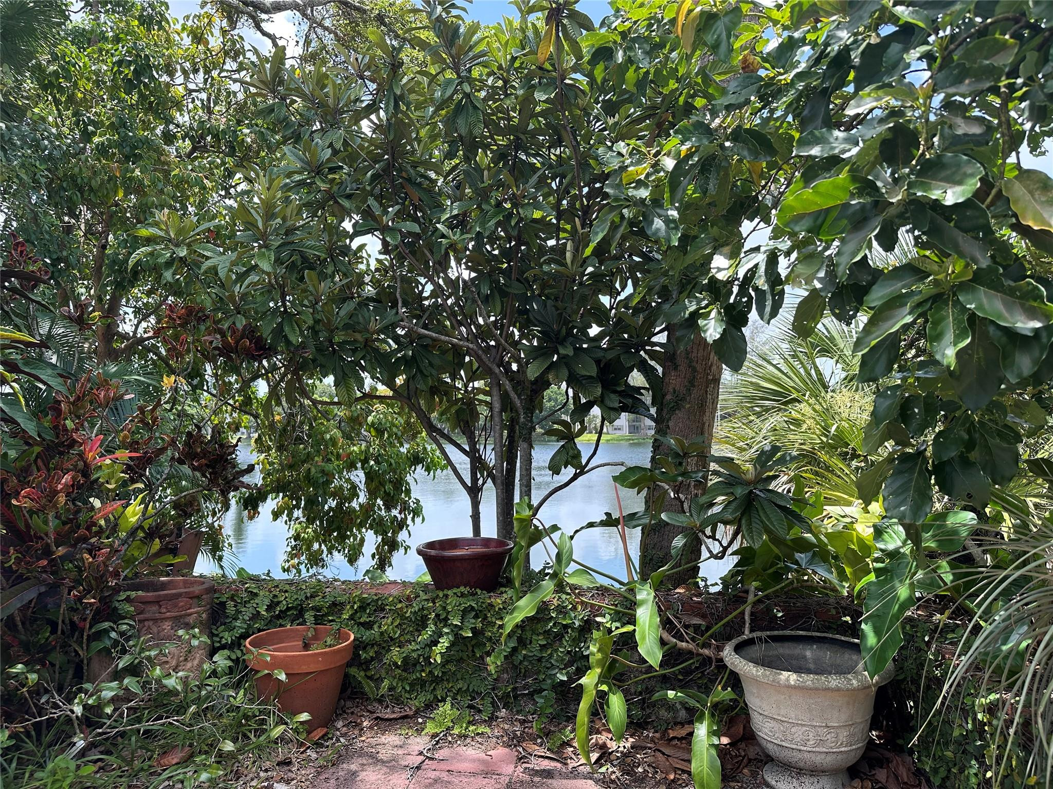 5713 Lime Hill Road Lauderhill, FL 33319 - Photo 11 of 27 Lake view