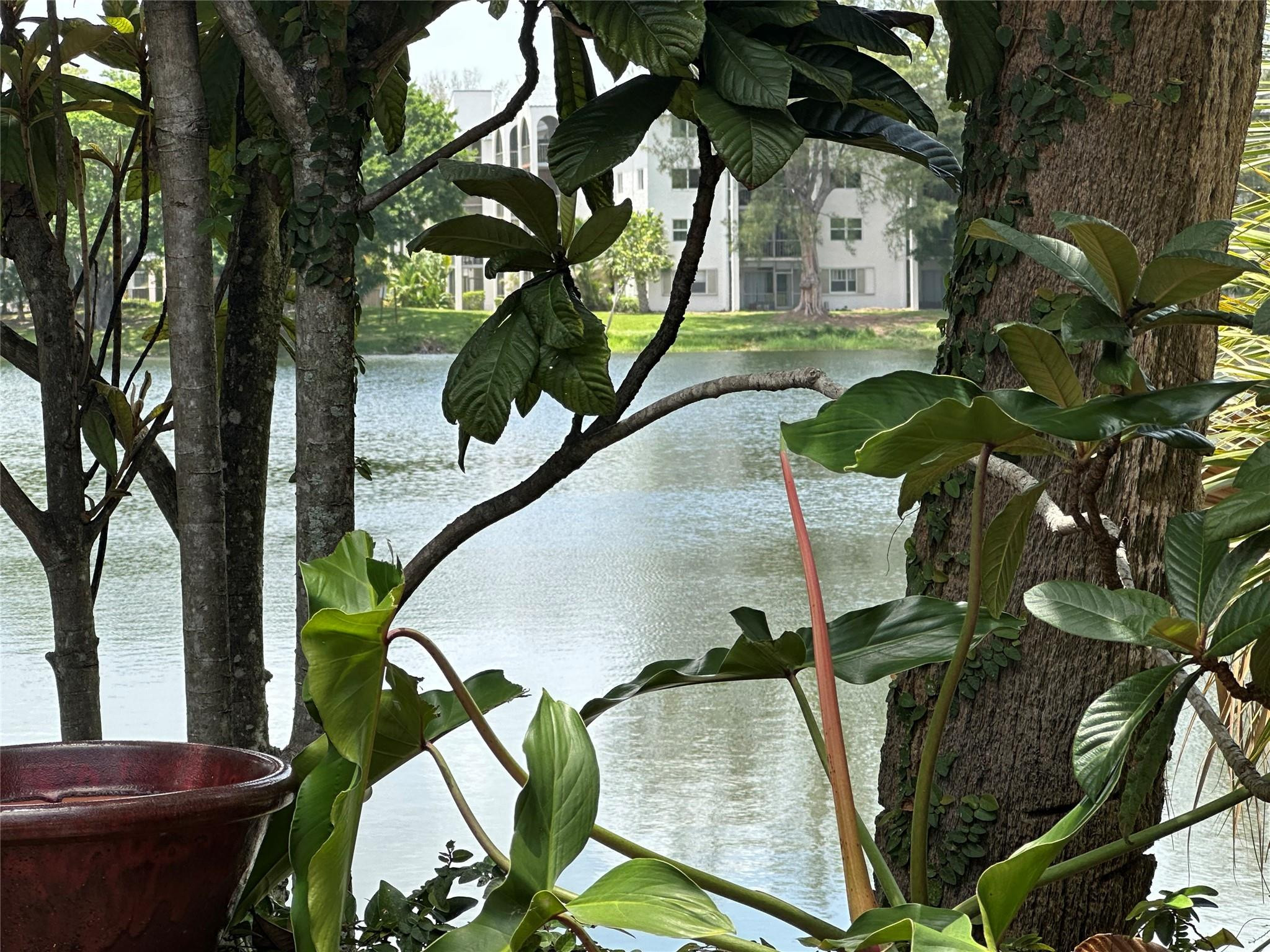 5713 Lime Hill Road Lauderhill, FL 33319 - Photo 12 of 27 Lake view