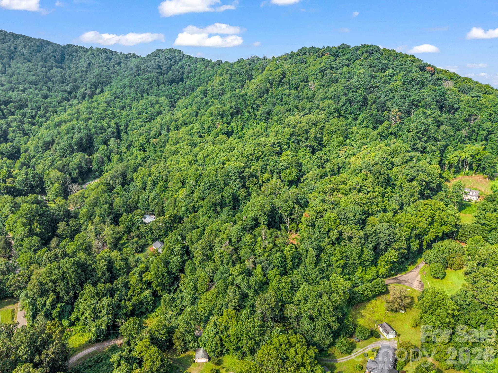 0 Patton Cove Road, Unit 6 Swannanoa, NC 28778 - Photo 30 of 31