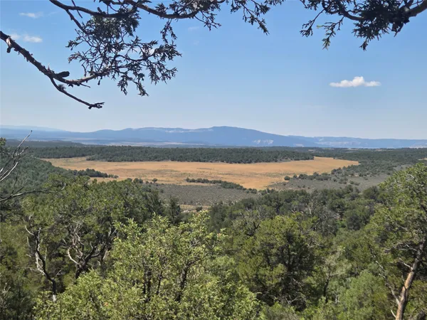 $35,000 | Lot 16 Lot, Los Ojos, NM 87551