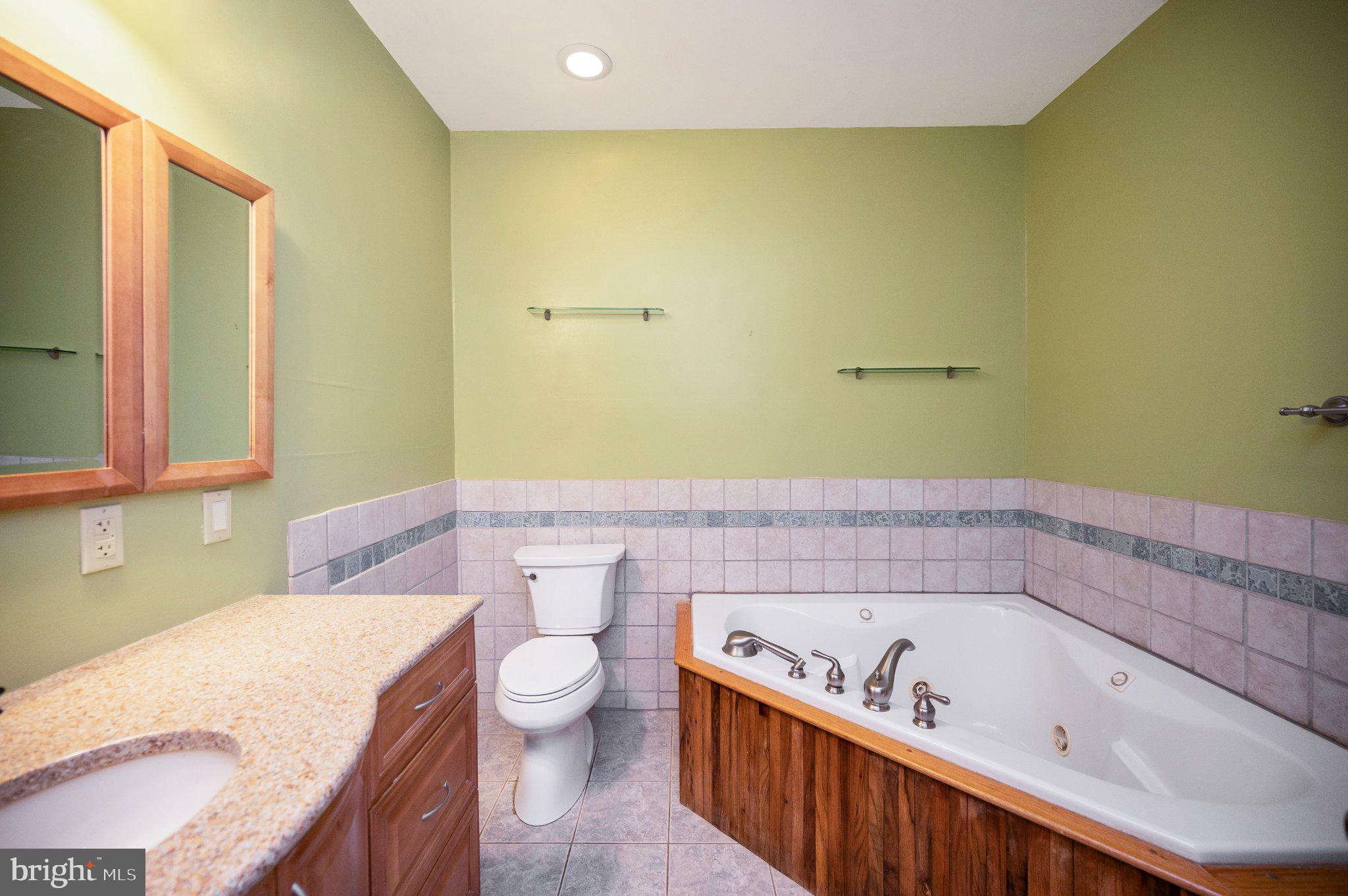 23202 Village Road Unionville, VA 22567 - Photo 19 of 58 a bathroom with a sink a toilet and bathtub