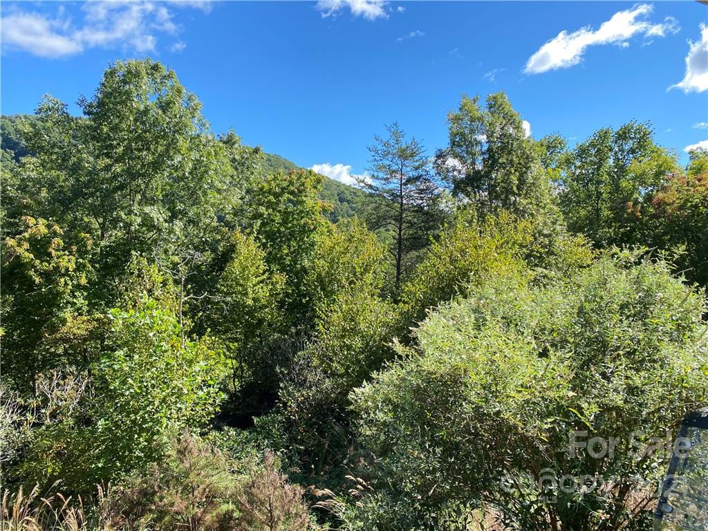 44 Baker Road Arden, NC 28704 - Photo 26 of 43 Gallery Image 26