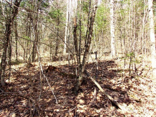 French Pond Road, Unit 165 Woodsville, NH 03785 - Photo 2 of 7