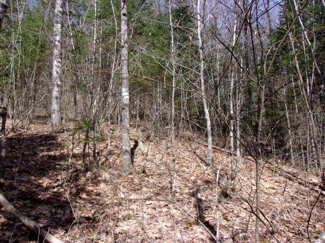 French Pond Road, Unit 165 Woodsville, NH 03785 - Photo 3 of 7