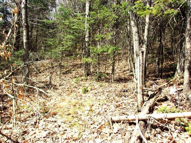 French Pond Road, Unit 165 Woodsville, NH 03785 - Photo 4 of 7