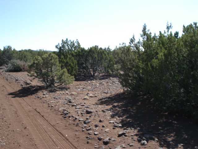Lot 2 Baja Road Show Low, AZ 85901 - Photo 2 of 2