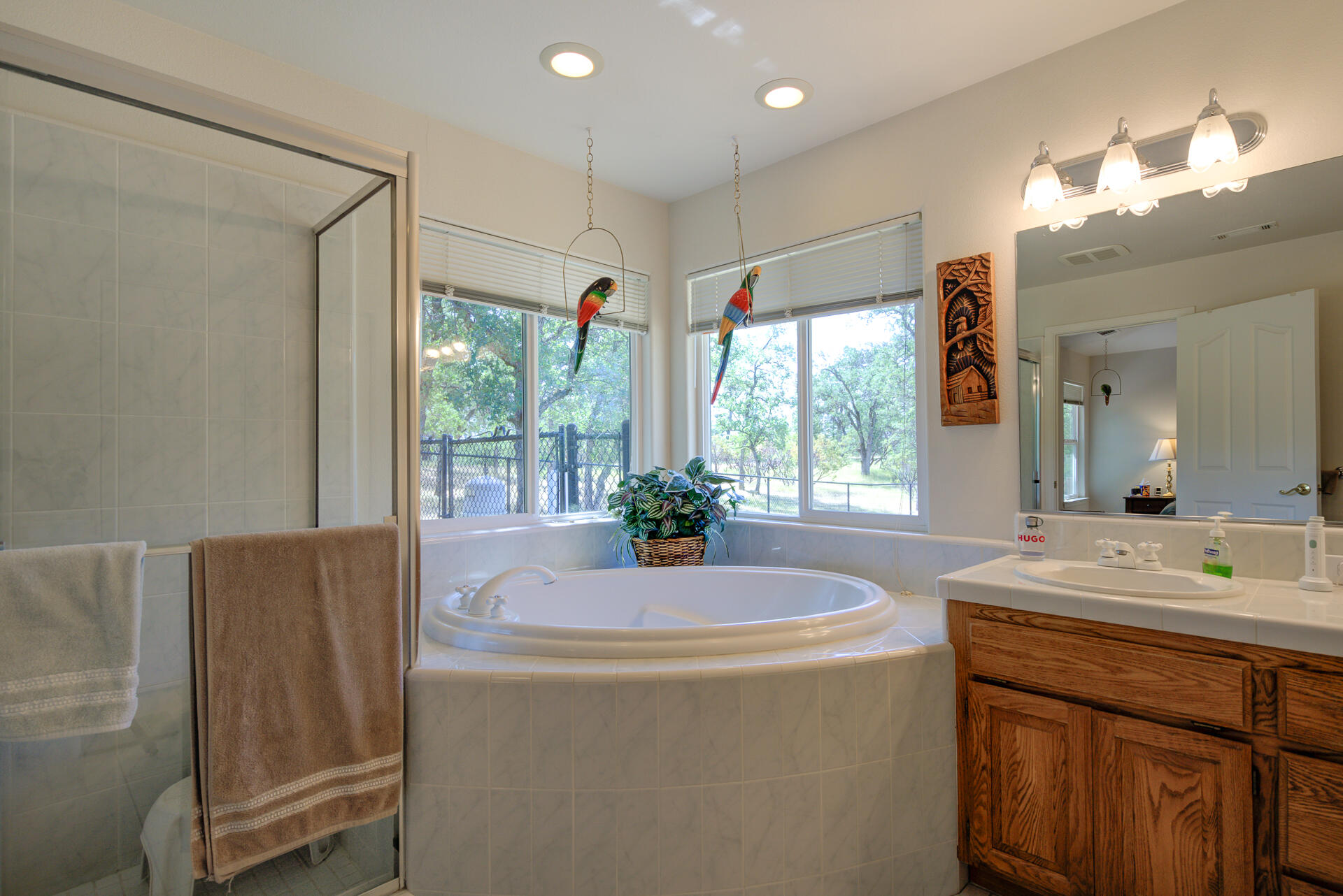 13223 Padani Drive Redding, CA 96003 - Photo 19 of 48 a bathroom with a tub sink and mirror
