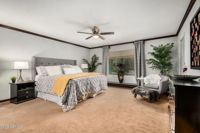 a bedroom with a bed and a couch