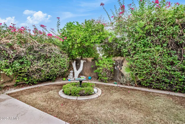 a view of a backyard with a fountain
