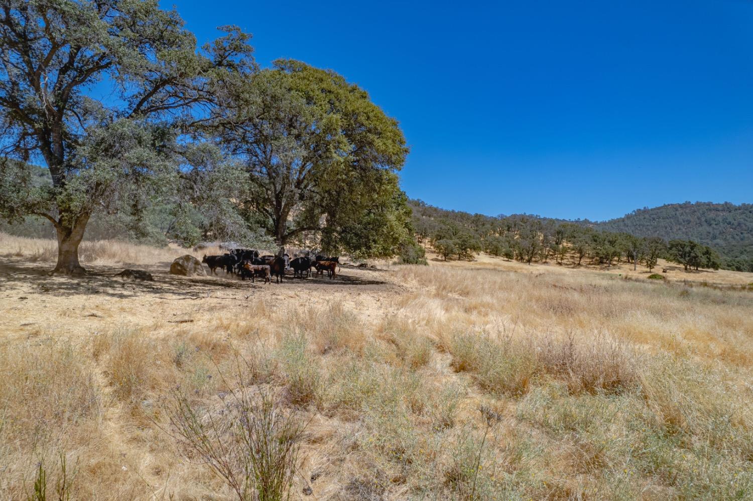 27044 McCourtney Road Grass Valley, CA 95949 - Photo 16 of 74