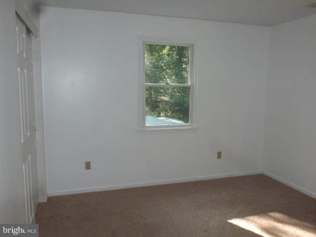 433 Pine Road Stephenson, VA 22656 - Photo 12 of 24 Third Bedroom with new carpet