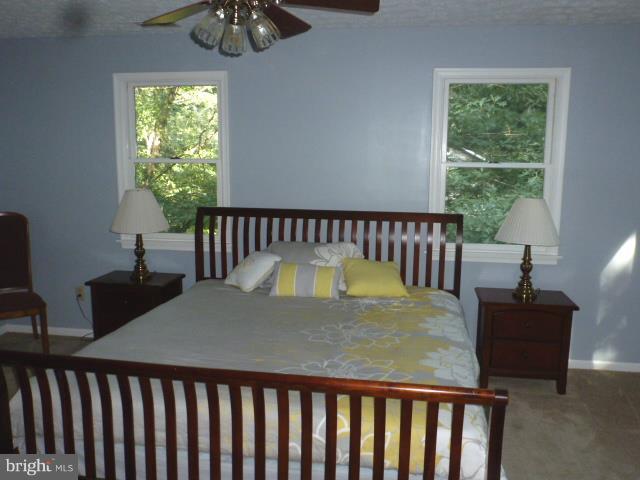 433 Pine Road Stephenson, VA 22656 - Photo 15 of 24 Privately situated Master Bedroom