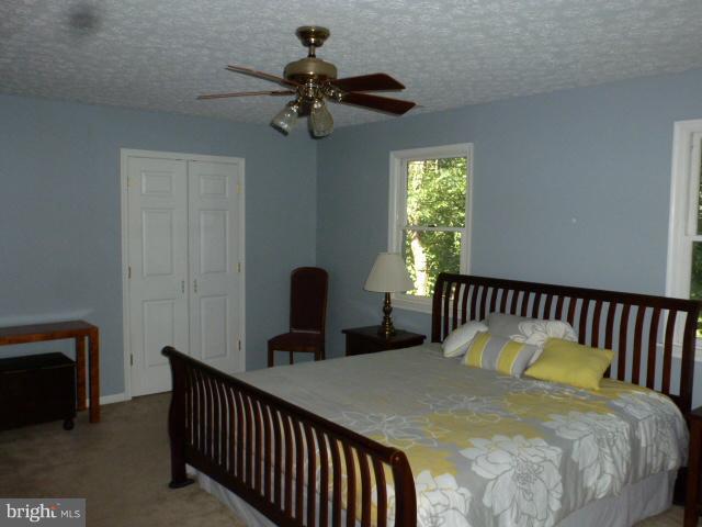 433 Pine Road Stephenson, VA 22656 - Photo 16 of 24 Privacy doors to Dressing and Master Bath