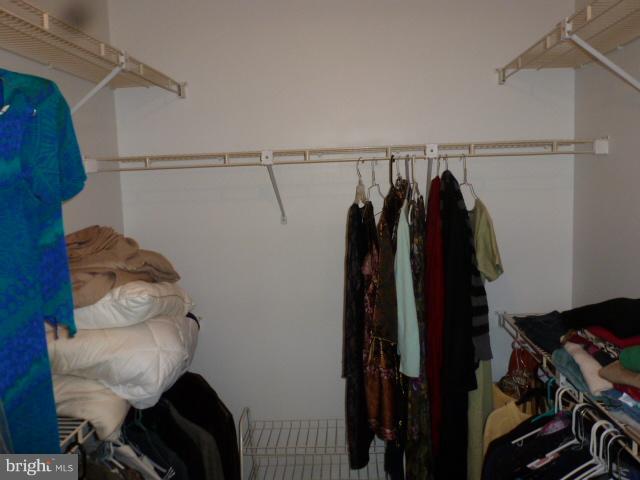 433 Pine Road Stephenson, VA 22656 - Photo 18 of 24 Master walk in closet in Dressing area