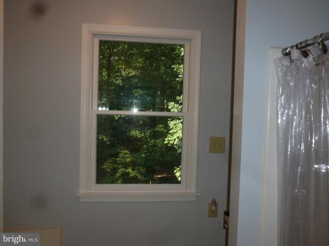 433 Pine Road Stephenson, VA 22656 - Photo 19 of 24 Master Bath and Shower
